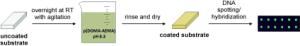 DNA Immobilization