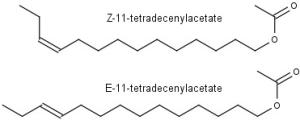 11-tetradecenylacetate