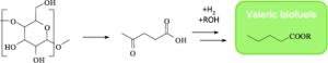 Valeric Biofuels: A Platform of Cellulosic Transportation Fuels