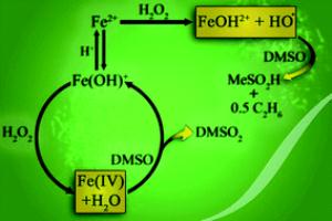 Fenton Reaction