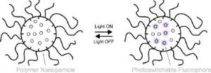 Fluorescent photoswitchable system