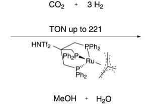 Carbon dioxide hydrogenation