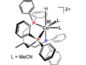 Water-Splitting Catalysts